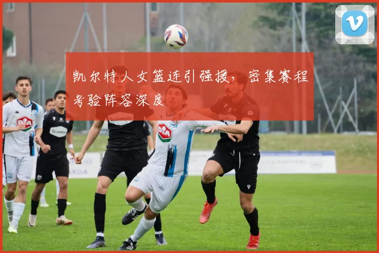 凯尔特人女篮连引强援，密集赛程考验阵容深度 - 2026世界杯资讯