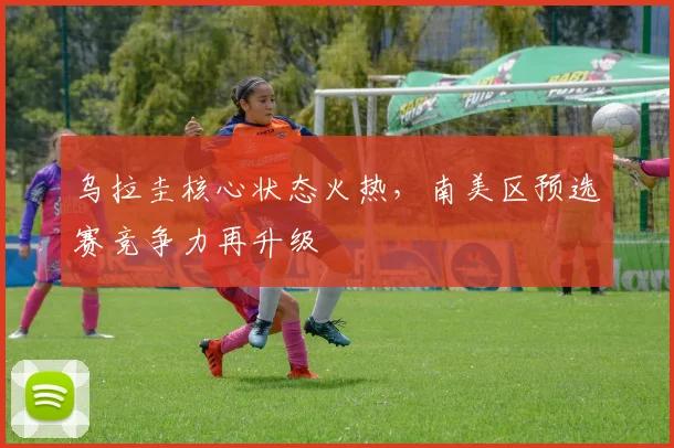乌拉圭核心状态火热,南美区预选赛竞争力再升级 - 2026世界杯推荐